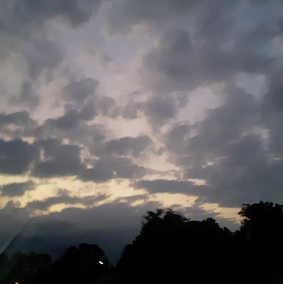 Meet your Posher, Cadie - Picture 1 of 1